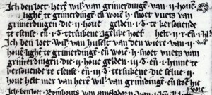 tekst uit het goederenregister van Alden Biesen met de namen van o.a. Willem van Grimmerdingen, Willem vande Wiere en Heinric Snoet vuet